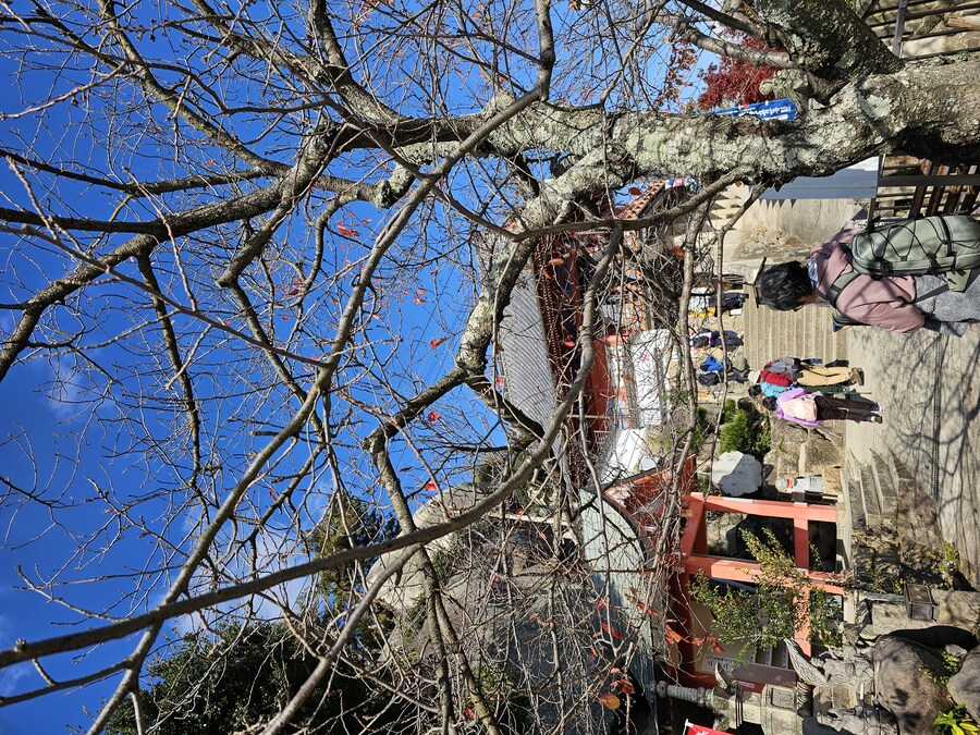 일본 세토내해 늦가을 단풍여행 - 4.오노미치-후쿠오카_28.jpg