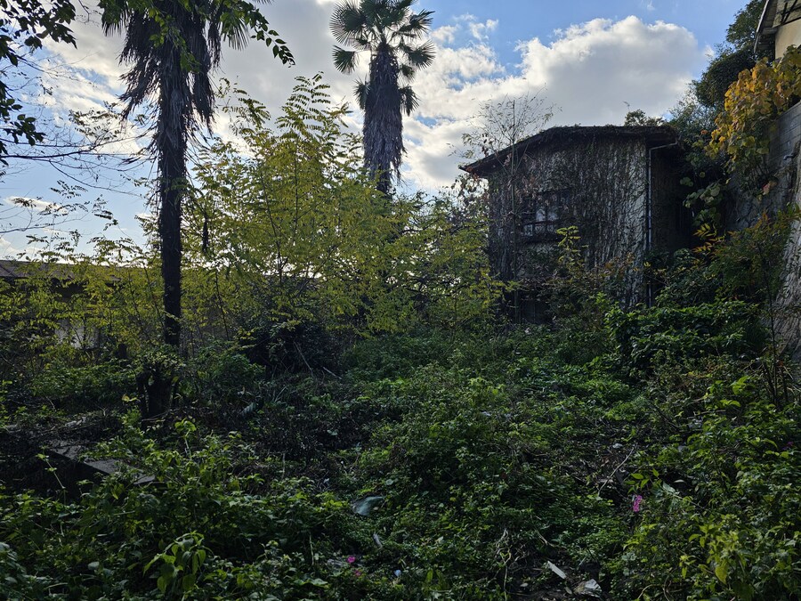 일본 세토내해 늦가을 단풍여행 - 4.오노미치-후쿠오카_34.jpg