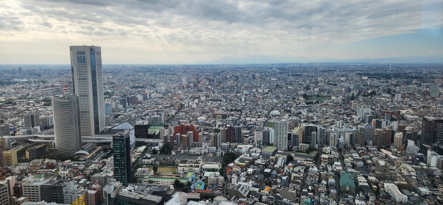 처음으로 혼자 떠난 해외여행 - 도쿄 7편(完) 도쿄도청 전망대 그리고 귀국_18.jpg