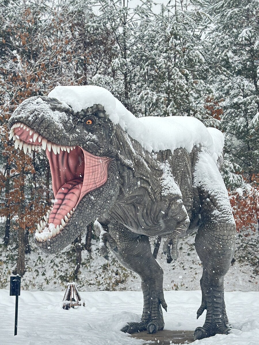 어느 일본박물관의 매년 폭설 풍경_1.jpg