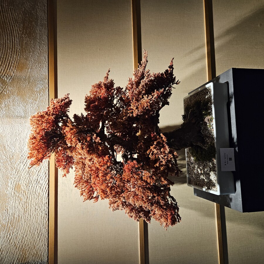 정말 날씨 좋았던 일본 치요다구 3박 4일 (스압주의)_18.jpg