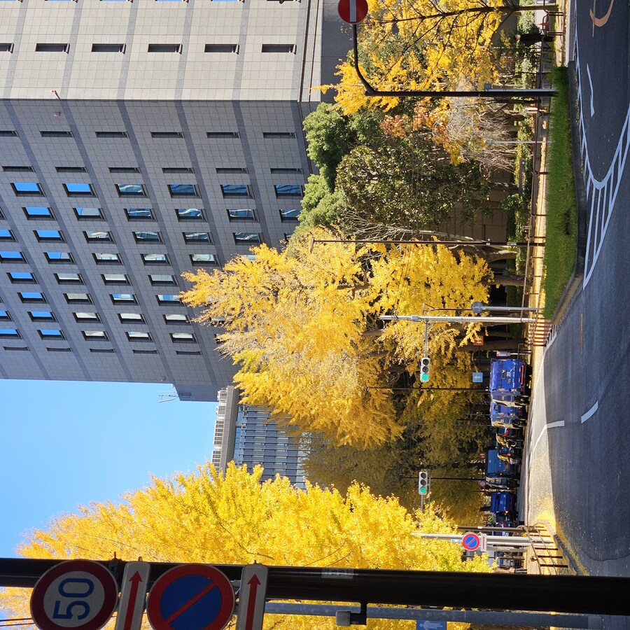 정말 날씨 좋았던 일본 치요다구 3박 4일 (스압주의)_38.jpg