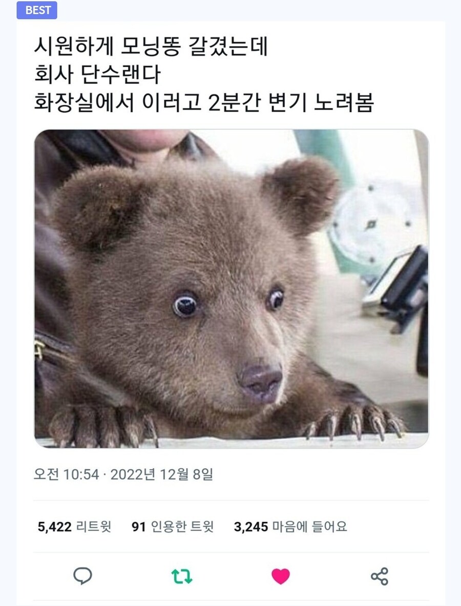 신입사원 만화_3.jpg