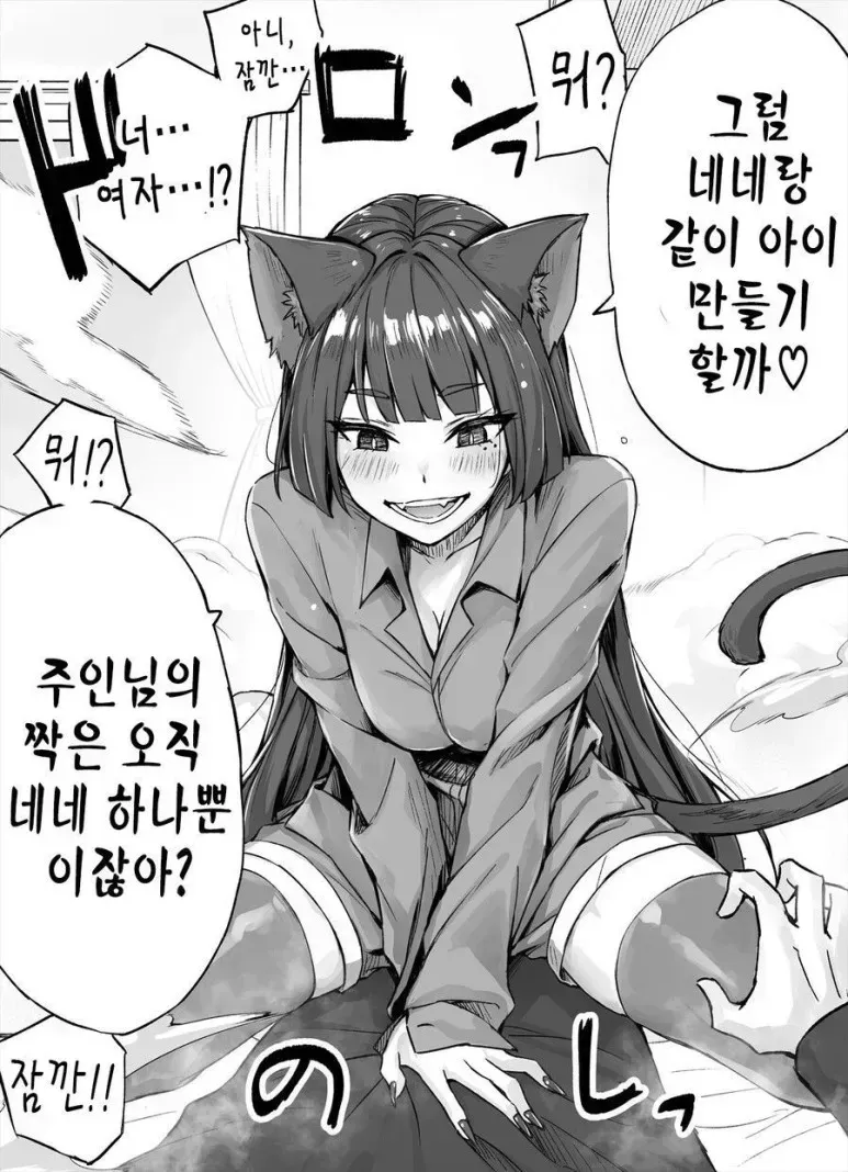 고양이키우는 사람들이 한번씩 하는 상상_2.webp