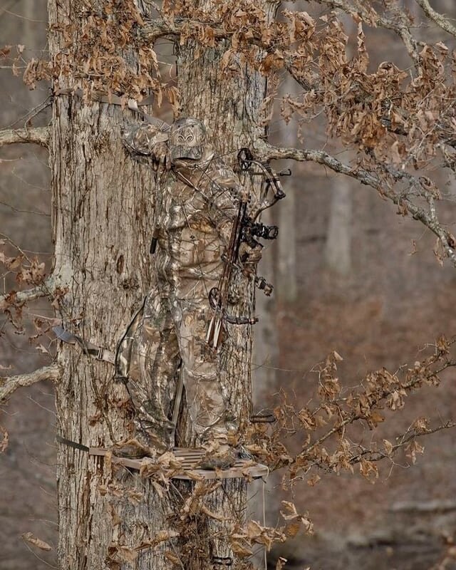 위장복 입는 이유...._3.jpg