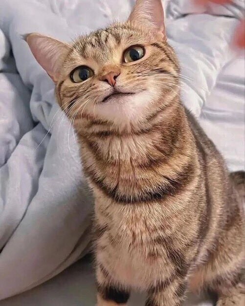 혈압주의)'근첩들의 실체'라고 불리는 짤의 진실 jpg._1.jpg