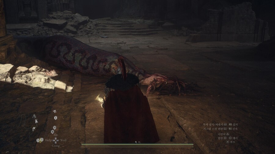 용혈정 파밍 및 대형몬스터 소재 파밍용 리젠 장소_8.jpg