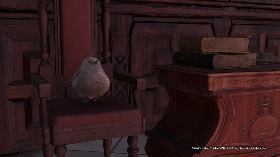 게임하면서 찍은 사진 몇장_2.png