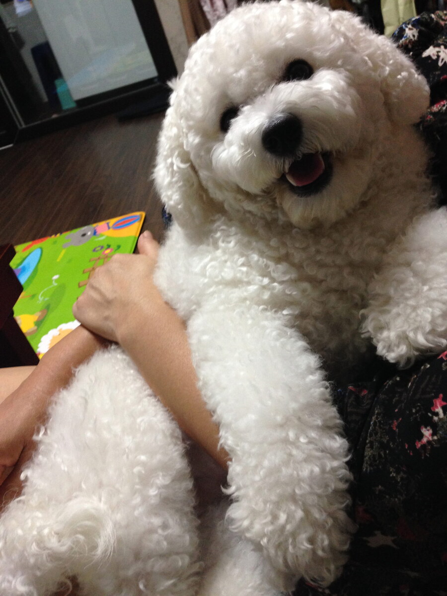 바나가 강아지별로 떠났습니다. (※스압 데이터 주의)_24.jpg