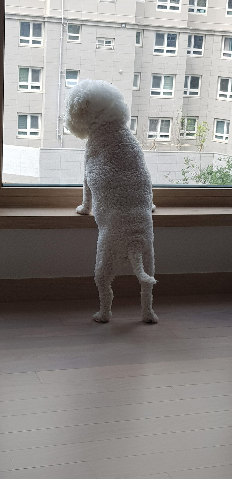 바나가 강아지별로 떠났습니다. (※스압 데이터 주의)_80.jpg