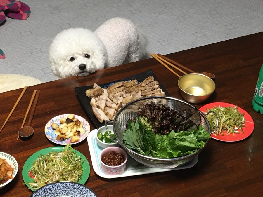 바나가 강아지별로 떠났습니다. (※스압 데이터 주의)_87.jpg