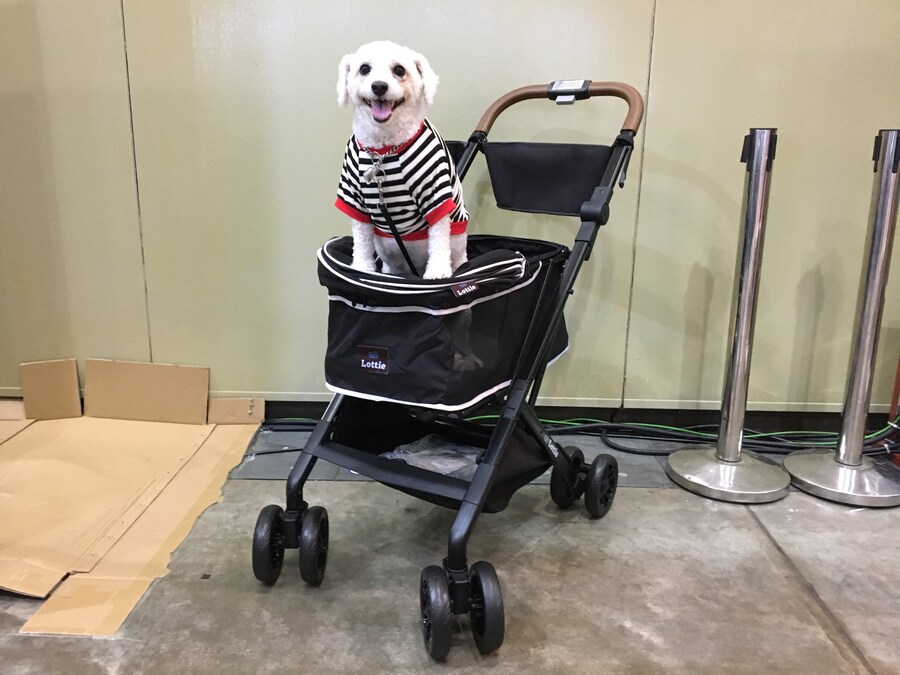 바나가 강아지별로 떠났습니다. (※스압 데이터 주의)_109.jpg