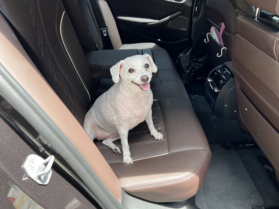 바나가 강아지별로 떠났습니다. (※스압 데이터 주의)_141.jpg