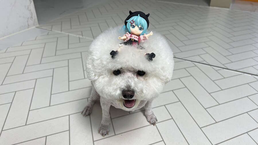 바나가 강아지별로 떠났습니다. (※스압 데이터 주의)_164.jpg