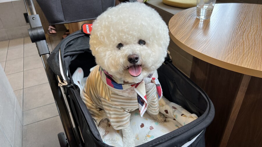 바나가 강아지별로 떠났습니다. (※스압 데이터 주의)_166.jpg