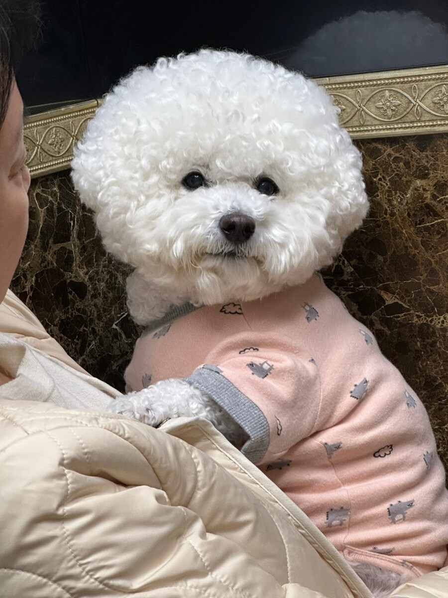 바나가 강아지별로 떠났습니다. (※스압 데이터 주의)_174.jpg