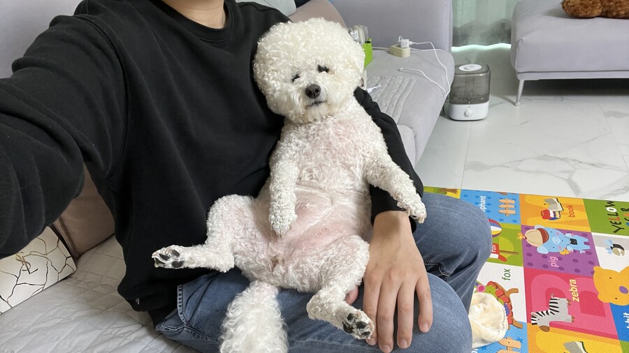 바나가 강아지별로 떠났습니다. (※스압 데이터 주의)_180.jpg