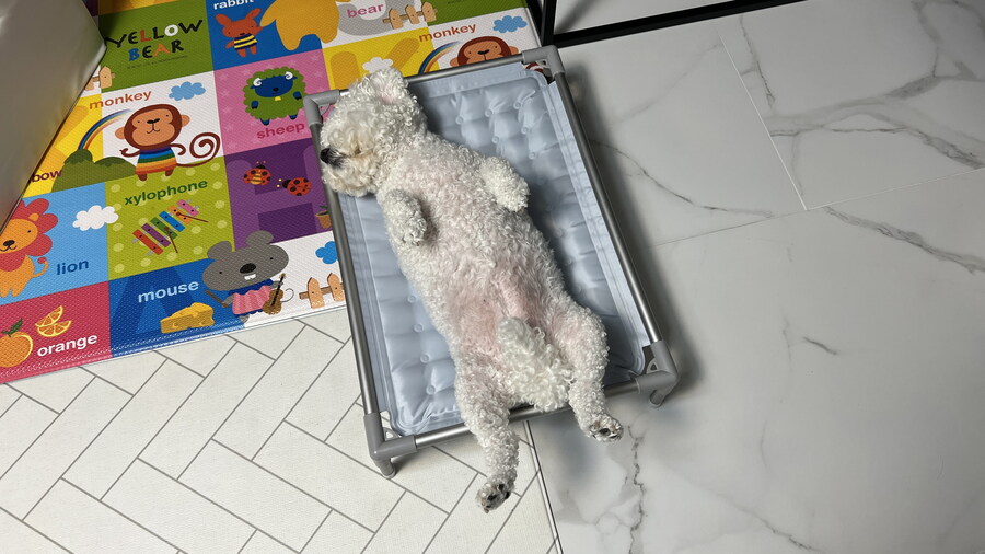 바나가 강아지별로 떠났습니다. (※스압 데이터 주의)_190.jpg