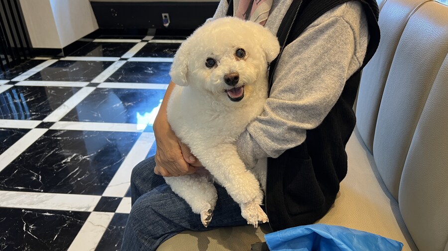 바나가 강아지별로 떠났습니다. (※스압 데이터 주의)_201.jpg