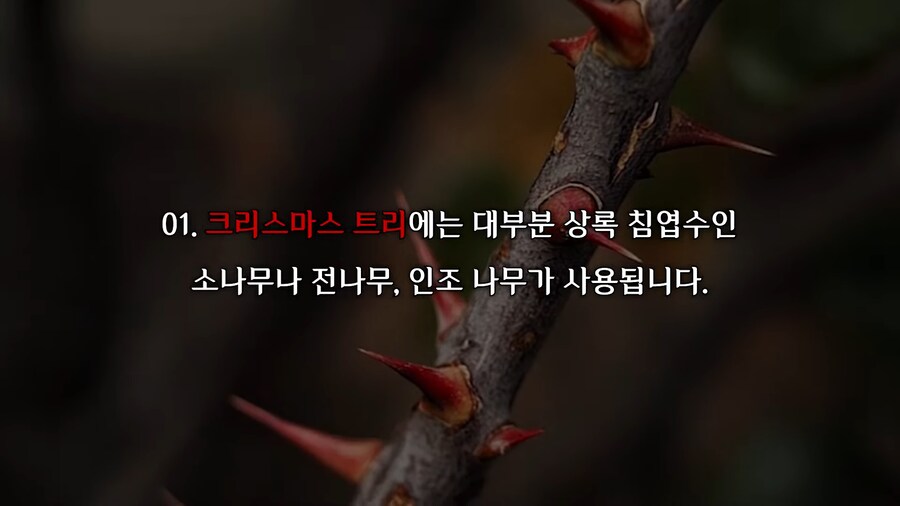괴담) 크리스마스 기념 나폴리탄 괴담 보고 가라_1.png