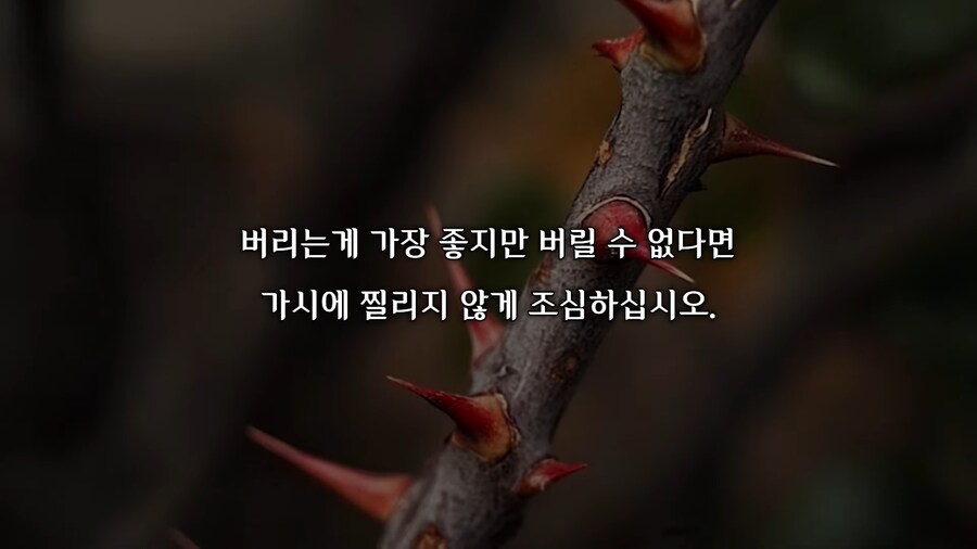 괴담) 크리스마스 기념 나폴리탄 괴담 보고 가라_3.png