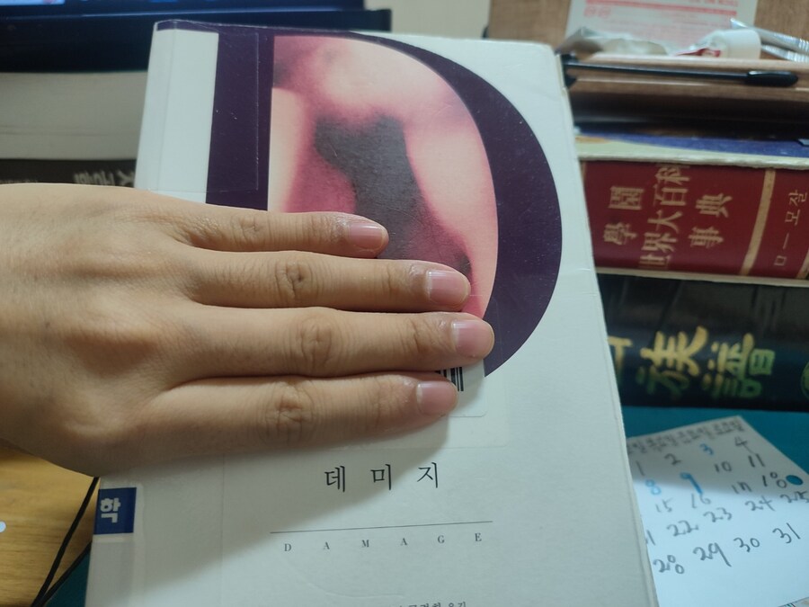 오늘 읽은 크리스마스 소설 (데미지)._2.jpg