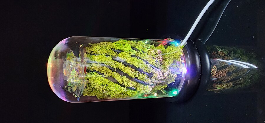 인테리어무드등(자작(feat. 금시난쥬,금마징가)_20.jpg