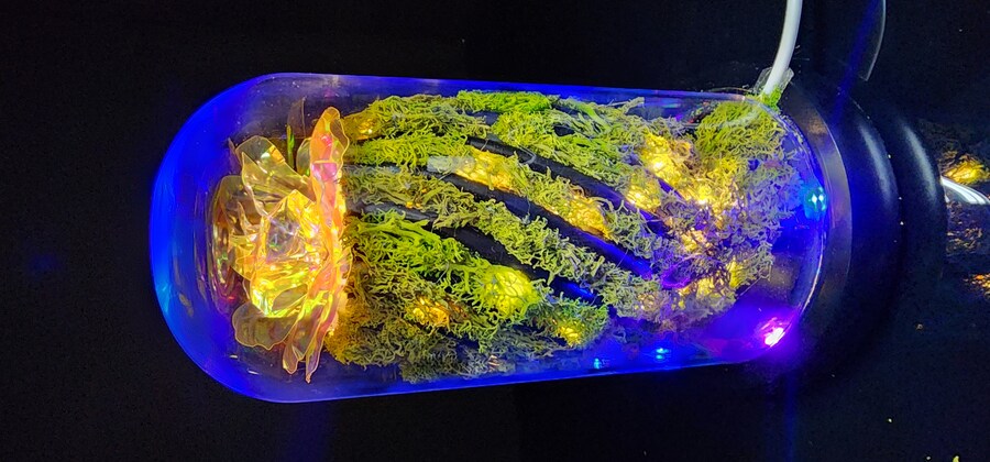 인테리어무드등(자작(feat. 금시난쥬,금마징가)_21.jpg