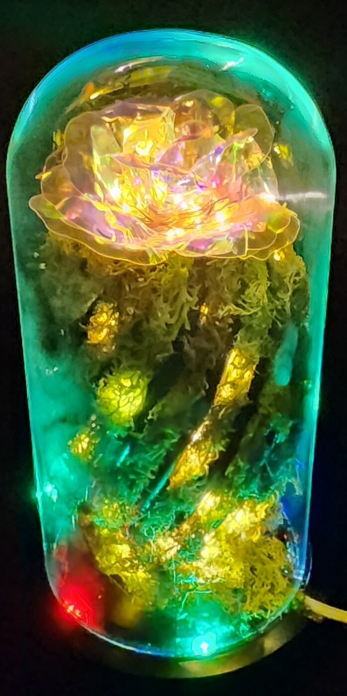 인테리어무드등(자작(feat. 금시난쥬,금마징가)_24.jpg