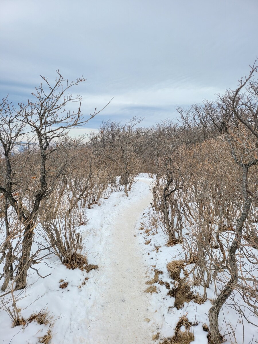 #선자령 순환길_6.jpg