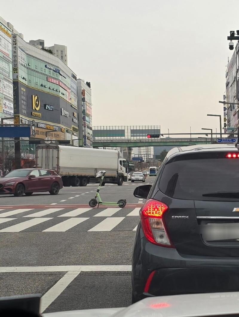 보배에 올라온 역대급 킥라니.jpg_1.jpg