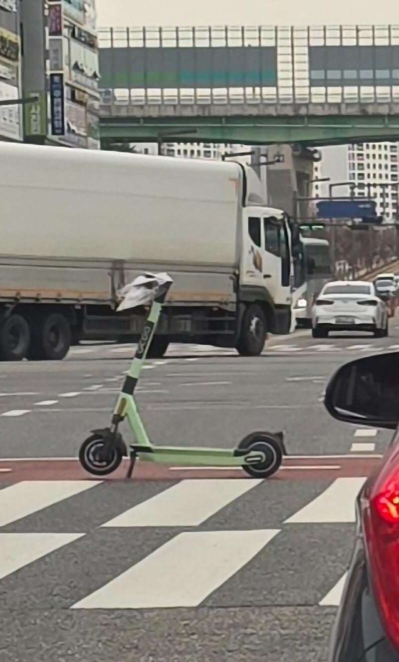 보배에 올라온 역대급 킥라니.jpg_2.jpg