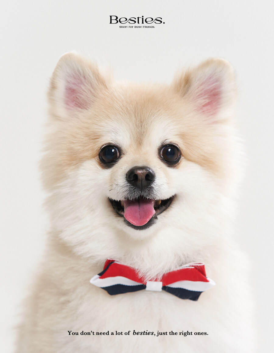 우리집 털복숭이 증멍사진_1.jpg