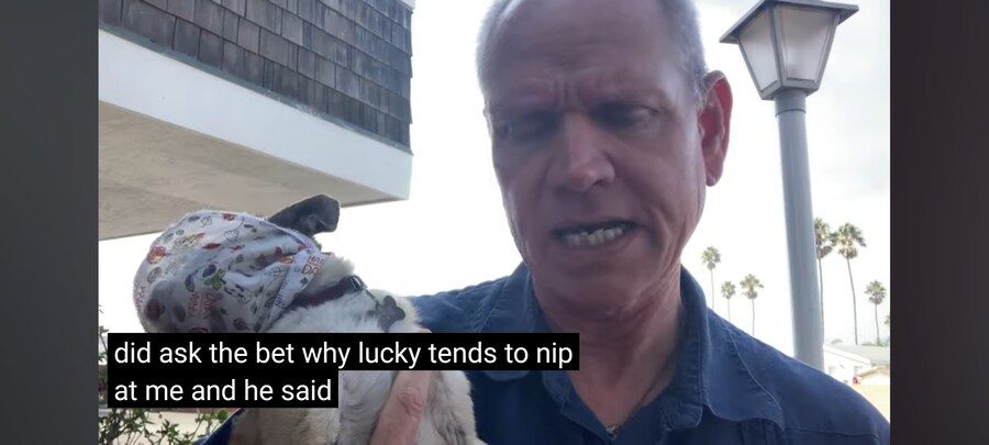 치와와 쓰다듬는짤 비하인드가 있었네 ㅋㅋㅋㅋ_1.jpg