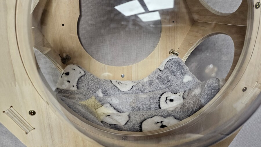 집사가 되기전 , 환골탈태한 신혼부부의 거실환경♥_16.jpg