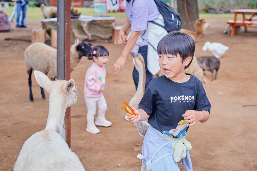 사진으로 몰아보는 우리가족 2024년_70.jpg