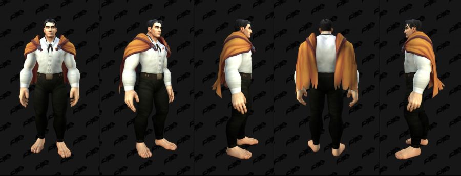 와우 2025년 1월의 교역소 공개되지 않은 아이템들 모음_15.png
