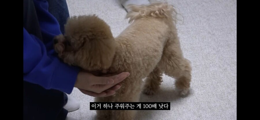 강형욱도 현타 올 정도로 실용적인 애견 훈련.jpg_12.jpg