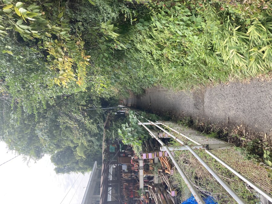 일본 교토 오야마자키 야자마키 증류소 견학_2.jpg