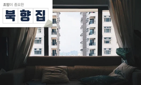 의외로 조선시대엔 남향집을 잘 안 따지던 이유.jpg_1.webp