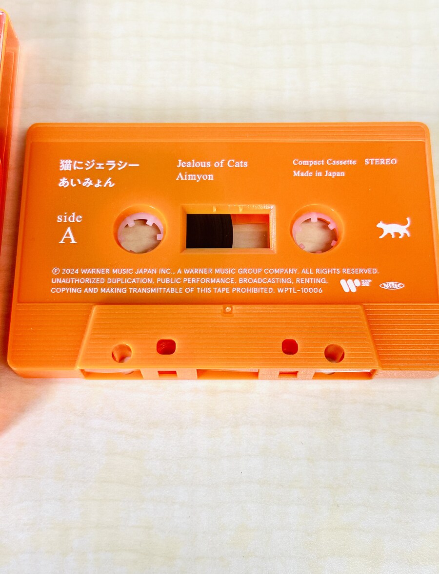 아이묭 5집 카세트 테이프_3.jpg