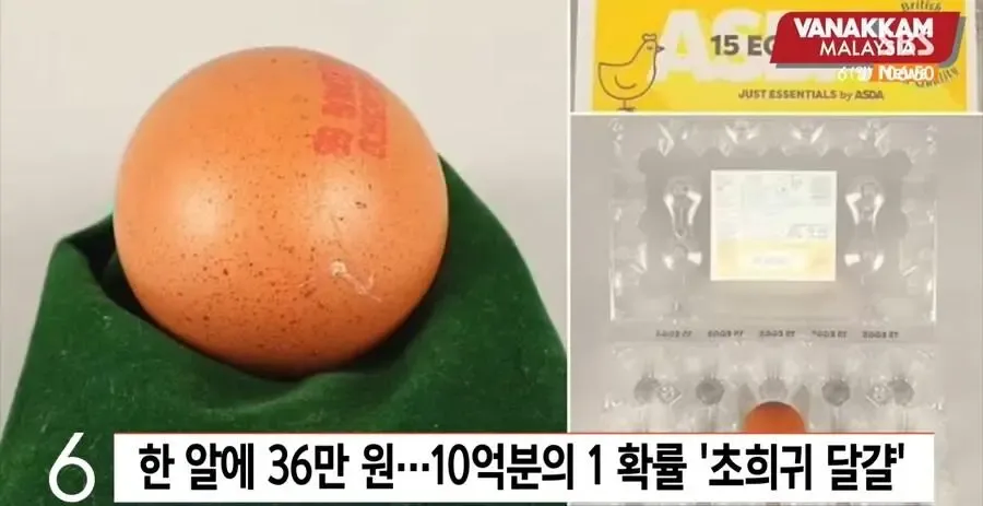 무려 36만원에 팔린 초희귀 달걀_2.webp