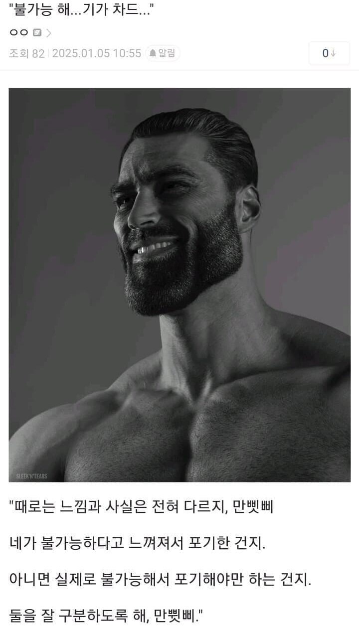 갑작스런 기가채드 밈의 시작과 이유_7.jpg