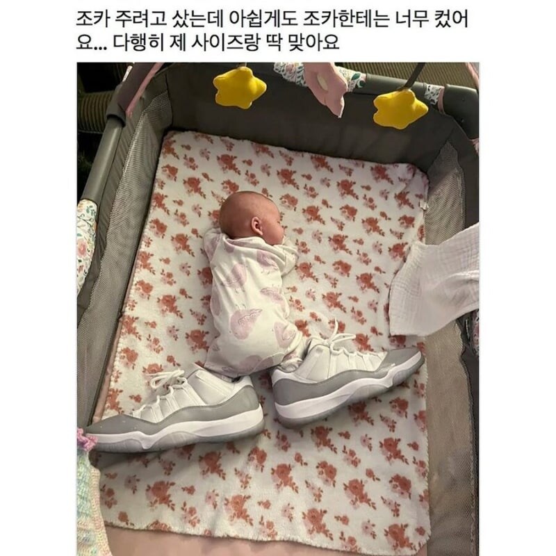 조카주려고 샀다고! 왜 그래?_1.jpg