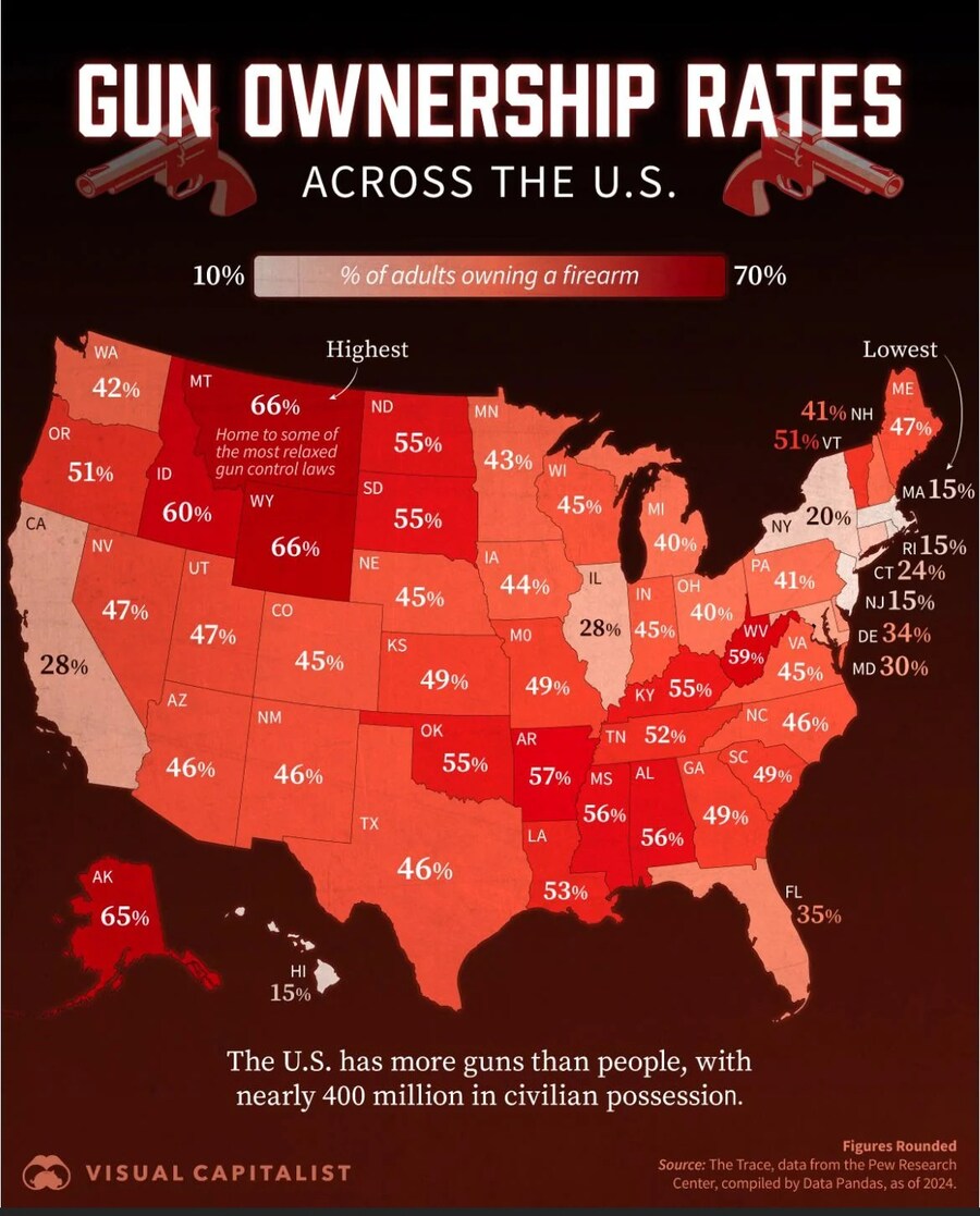 미국이 총기 소지를 금지하는게 어려운 이유_1.jpg