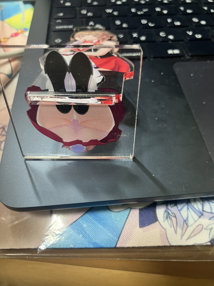 요즘 아크릴 스탠드 기술력 근황.JPG_2.jpg