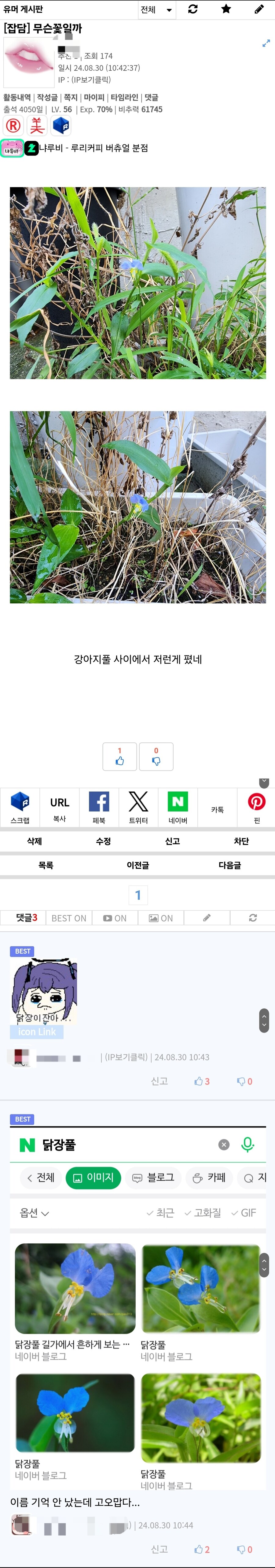 닭장이잖아..._1.jpg