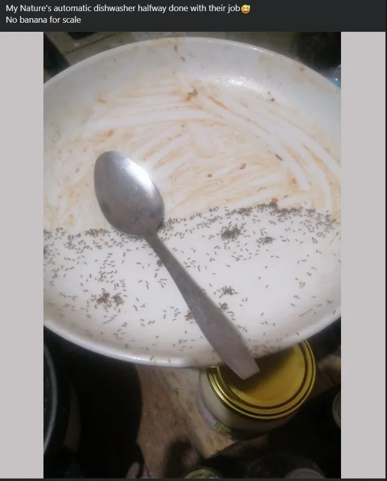 혐주의) 저주받은 이미지_7.webp