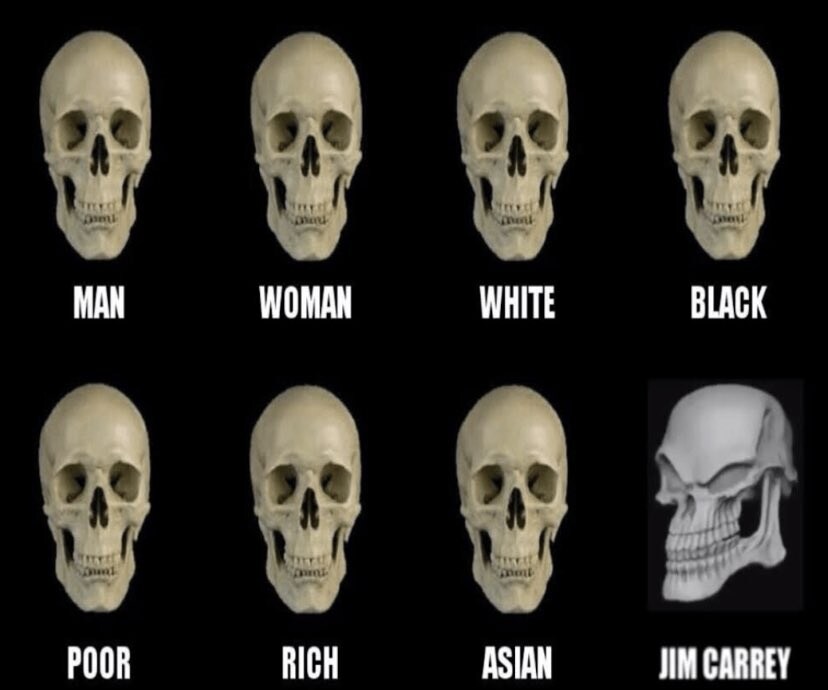 여러 인류의 골격을 비교_1.jpg