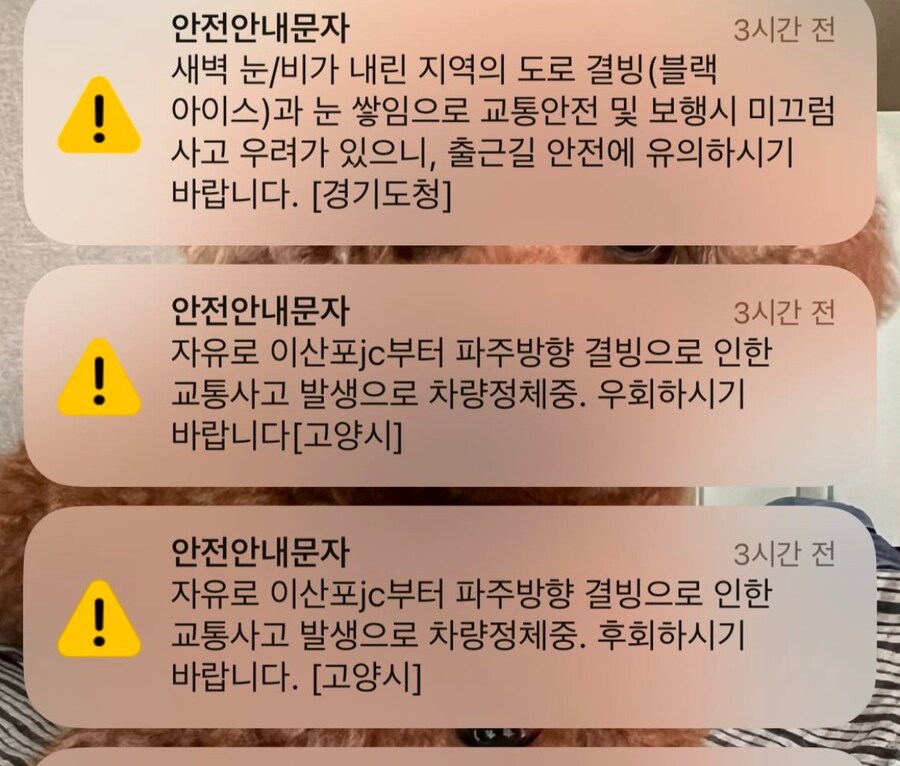 오늘 고양시 안내문자 오타 실수.jpg_1.jpg